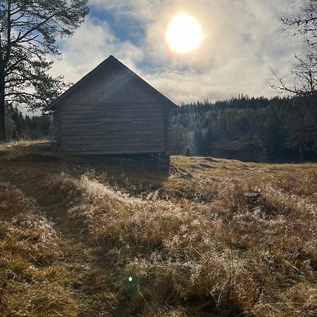 Villa Granhede -Sjoelaege Med Badtunna, Eldstad Med Mera Torsby Exterior photo